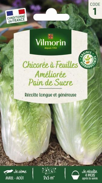 Potagères - Chicorée à Feuilles Améliorée Pain de Sucre - PACKAGING_RECTO